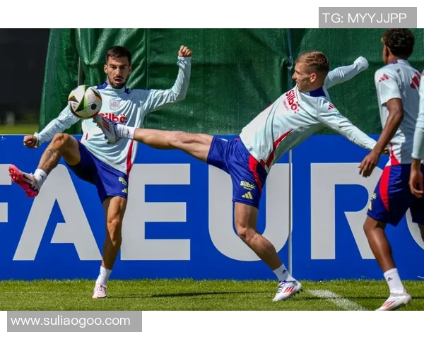 最佳观众足球明星盘点他们的魅力与影响力如何吸引全球球迷 最佳观众足球明星盘点他们的魅力与影响力如何吸引全球球迷