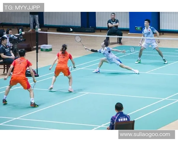 成都羽毛球队实力对比深度解析与发展潜力探讨