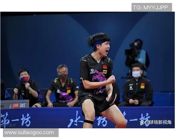 武汉乒乓球队比赛经验的变革与热议探讨新视角