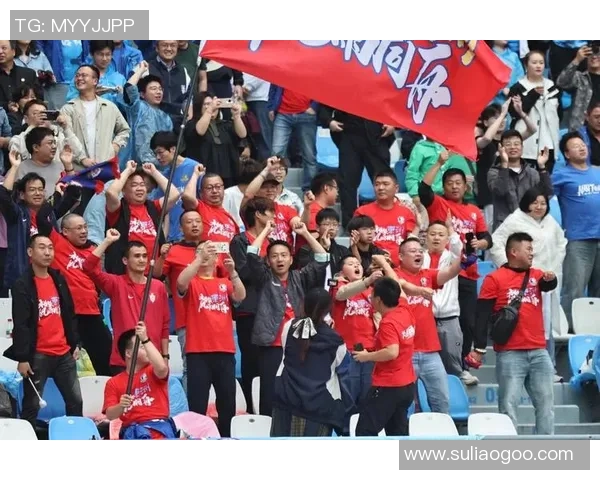 杭州排球队以50分领跑冠军赛积分榜展现强劲实力 杭州排球队以50分领跑冠军赛积分榜展现强劲实力