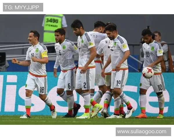 武汉排球队的蜕变之旅联合会杯特别报道展现新风貌与挑战