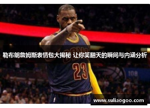 勒布朗詹姆斯表情包大揭秘 让你笑翻天的瞬间与内涵分析
