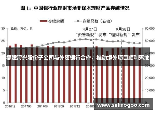 福建浔兴股份子公司与外资银行合作，推动境外项目顺利落地