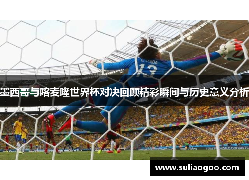 墨西哥与喀麦隆世界杯对决回顾精彩瞬间与历史意义分析