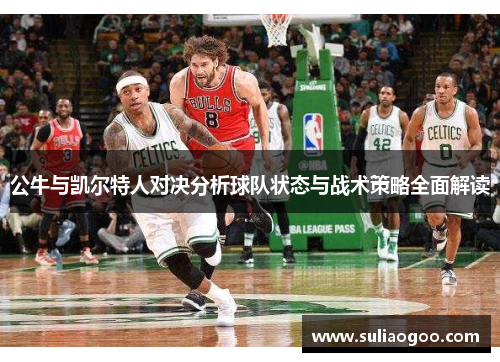 公牛与凯尔特人对决分析球队状态与战术策略全面解读