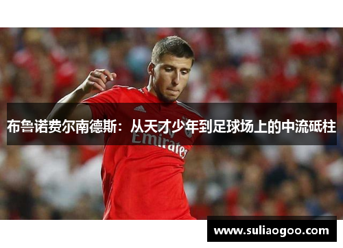布鲁诺费尔南德斯：从天才少年到足球场上的中流砥柱